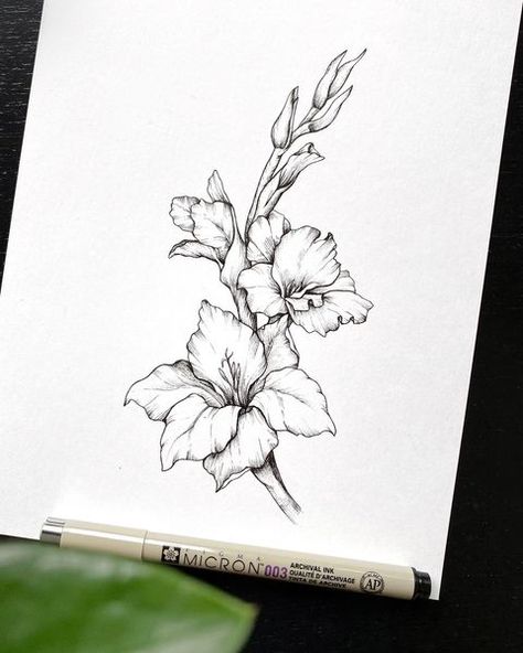 Gladiolus Flower Tattoos, Flower Sketch Pencil, Gladiolus Tattoo, Gladiolus Flower, Happy April, Flower Sketches, Flower Tattoo Designs, Iris Flowers, Piercing Tattoo