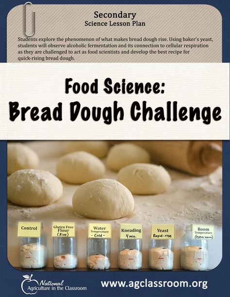 Classroom Website, Science Food, Bakers Yeast, Food Chemistry, Cellular Respiration, No Rise Bread, Family And Consumer Science, Food Tech, Science Lesson