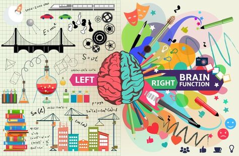 The Left Brain vs. Right Brain Theory is based on the fact the brain’s two hemispheres function differently. It refers to people either being left-brained or right-brained, meaning that one side of their brain is dominant. If you’re mostly analytical and methodical in your thinking, you’re said to be left-brained. If you tend to be more creative or artistic, you’re thought to be right-brained. A dyslexics' strengths align with being right-brain dominant. Brain Diagram, Left Brain Right Brain, Brain Structure, Classroom Wall Decor, Brain Anatomy, Science Club, Brain Art, Art Matters, Right Brain