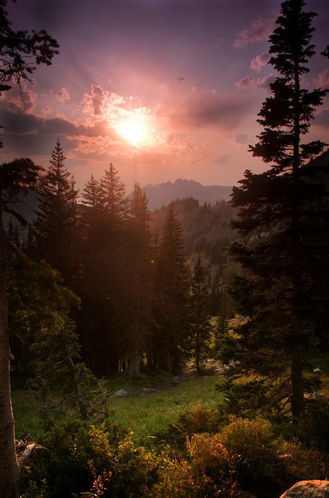 "Alpine Sunset" © Matthew Copeland 2009 Sunrise Tattoo, Flower Meadows, Paradise Pictures, Map Ideas, Forest Sunset, Forest View, Natural Landscapes, Natural Scenery, Nature Pictures