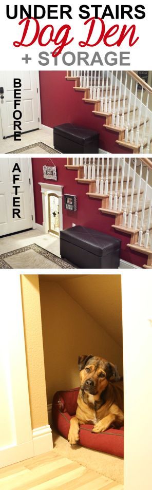 Add storage & a dog room underneath the staircase. Closet Into Dog Room, Den Under Stairs, Under The Stairs Dog House, Boss Bedroom, Stairs Dog House, Under Stairs Dog House, Dog Crate Ideas, Dogs Room, Stair Nook