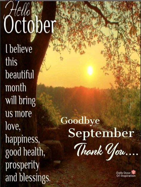 Hello October, Goodbye September 🧡💛🤎💛🧡 #newmonth #September #goodbye #hello #October #quotesbycatherine #dailydoseofinspiration Goodbye September, Goodbye October, October Quotes, Good Morning Sweetheart Quotes, Hello November, Fall Images, Hello September, Hello October, New Month