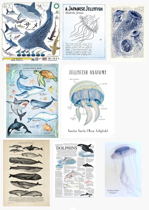 print poster a4 Marine Biology Vision Board, Shark Posters, Aquarium Poster, Ocean Posters, Shark Poster, Marine Poster, Shark Room, Ocean Room Decor, Blue Room Decor