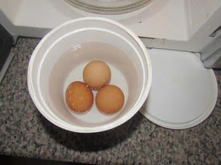 Boiling Eggs In Microwave, Microwave Boiled Eggs, How To Boil Eggs In Microwave, Boil Eggs In Microwave, Hard Boiled Egg Microwave, Boiled Eggs In Microwave, Boiled Egg In Microwave, Microwave Desserts, Creative Egg Recipes