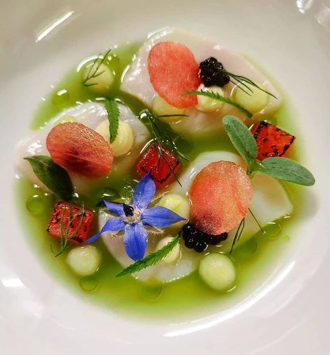 Ceviche Fine Dining, Ceviche Plating, Watermelon Ceviche, Cucumber Watermelon, Scallop Ceviche, Chef Jobs, Gourmet Food Plating, Sea Scallops, Culinary Art