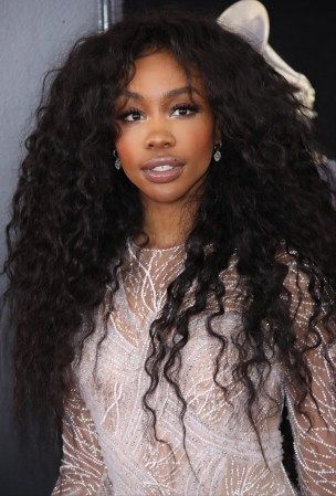 Sza Hairstyles, Sza Hair, The Lady Eve, 90’s Outfits, Wide Legged Jeans, Haute Hair, 50 & Fabulous, Braided Half Up, Human Hair Color