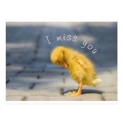 I Miss You Cute Pics, Send To Him, I Miss You Cute, Hello Quotes, Miss You Funny, Miss You Images, Missing You Quotes For Him, Special Friend Quotes, I Miss My Mom