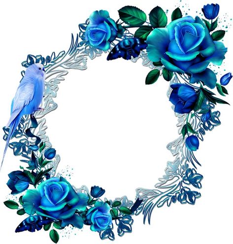 Rose Frame Background, Blue Flower Wreath, Images Noêl Vintages, Flowers Wreath, Floral Png, Royal Blue Wedding, Floral Swag, Floral Border Design, Rose Frame