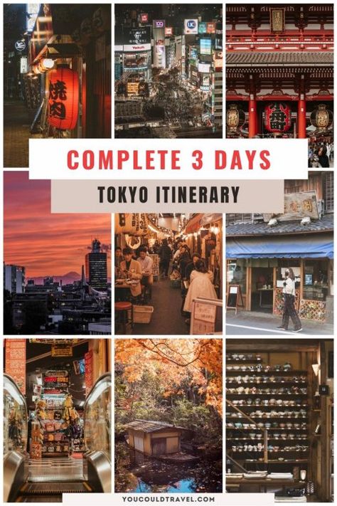 3 days in Tokyo itinerary Osaka Itinerary, Tokyo Itinerary, Japan Honeymoon, Tokyo Subway, Tokyo Travel Guide, 2 Days Trip, Day Trips From Tokyo, Meiji Shrine, Japan Holidays