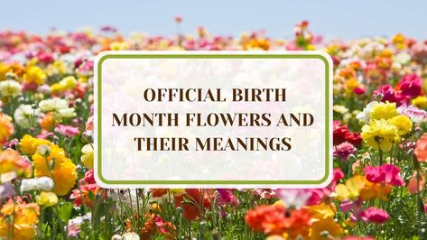 Discover the symbolic meanings behind the official birth month flowers, each representing unique attributes and qualities. Learn which flower corresponds to each month, adding a personal touch to gifts or celebrations. Explore the rich symbolism and cultural significance these blooms offer, providing insights into the tradition of birth flowers and how they capture the essence of each month in a beautiful floral narrative. Flowers Meanings, Birth Month Symbols, Flowers And Their Meanings, Symbolic Meanings, Flower Meanings, Month Flowers, Birth Month Flowers, Sweet Fragrances, Birth Month