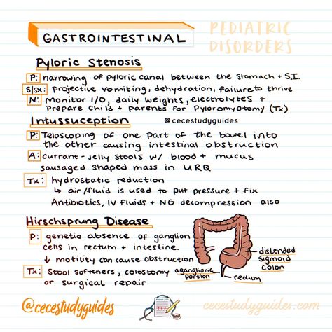 Pediatric disorders 101: Your illustrated guide to common diagnoses. Every future nurse needs this cheat sheet! 🩺👶 #nursingstudent #pediatrics #studygram Pediatric Disorders Nursing, Pediatric Gi Disorders Nursing, Pediatrician Aesthetic Notes, Pediatric Nursing Study Cheat Sheets, Pediatric Nursing Study Guide, Nursing Pediatrics Cheat Sheets, Pediatric Nursing Notes, Gi Nursing, Maternal Nursing