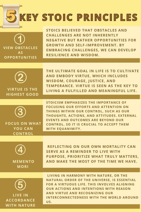 The Stoic principles are the foundational ideas and concepts that guide Stoic philosophy. #Stoicism #Philosophy #SelfDevelopment #AncientWisdom How To Learn Philosophy, Stoic Self Control, What Is Stoicism, Stoic Morning Routine, Philosophy For Beginners, How To Study Philosophy, How To Be Stoic, Stoicism Principles, Stoic Quotes Stoicism