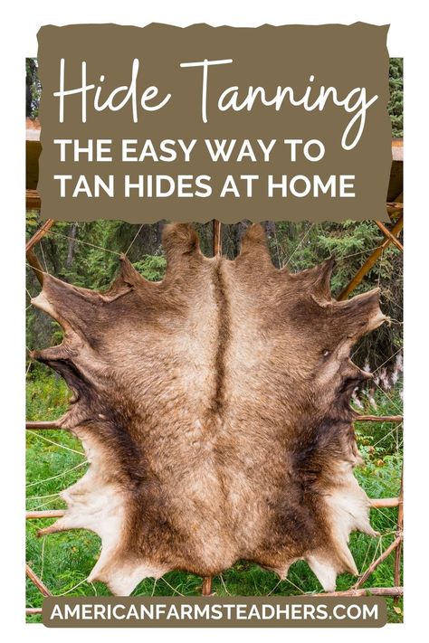 Hide Tanning: The Easy Way to Tan Hides at Home Tanning A Deer Hide, Tanning Animal Hides, How To Tan A Hide, How To Tan Deer Hide, Tanning Hides Diy, Tanning Rabbit Hides, Deer Hide Projects, Tanning Guide, Tanning Deer Hide