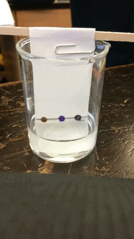 Here's a simple GCSE practical that you can do at home. If you can identify the process using these keywords; pure and impure substances, solvent stationary phase, mobile phase, chromatogram and Rf value then you're ready to assess yourself with a GCSE exam question. Gcse Science Revision, Paper Chromatography, Gcse Chemistry, Science Revision, Biology Revision, Exam Revision, Examination Board, Gcse Science, Secondary Science