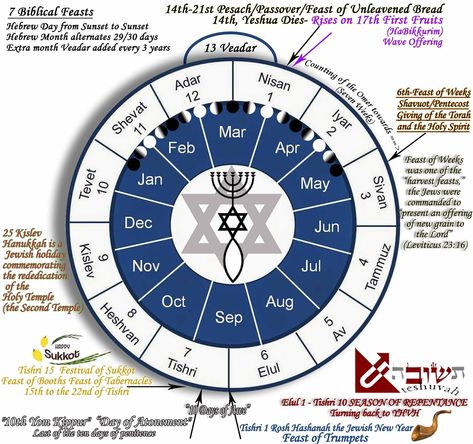 Hebrew Calendar 6Th Month hebrew calendar 6th month. can create a template to integrate the target of the excursion, with a section comprising reminders for Customize your litt... Jewish Holiday Calendar, Hebrew Calendar, Hebrew Months, Feasts Of The Lord, Bible Timeline, Biblical History, Jewish Calendar, Biblical Hebrew, Cool Calendars