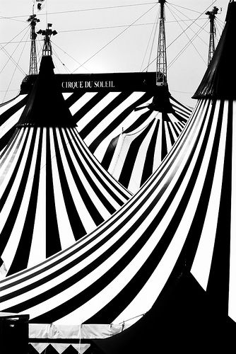 black and white - circus tent The Night Circus, Night Circus, Circus Tent, Big Top, Vintage Circus, The Circus, Black And White Stripes, Black White Photos, Black N White