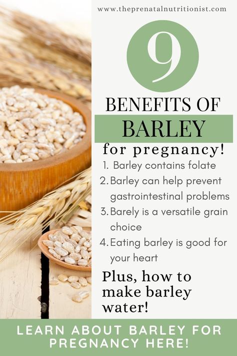 Expecting mothers need to be extra mindful of their health and what they eat during a pregnancy. Barley is an excellent source of nutrition to include in an expecting mother's diet as it is packed with essential vitamins and minerals. Rich in fiber, barley can also help to reduce heartburn and other digestive issues commonly experienced during pregnancy. By incorporating barley into your diet, you can be sure you are getting the nutrients you need for both you and your growing baby. Fiber Foods For Pregnant Women, Nutrition For Pregnancy, Folate Rich Foods, Barley Nutrition Facts, Barley Benefits, Prenatal Vitamins For Pregnancy, Prenatal Vitamins Before Pregnancy, Barley Grain, Prenatal Nutrition