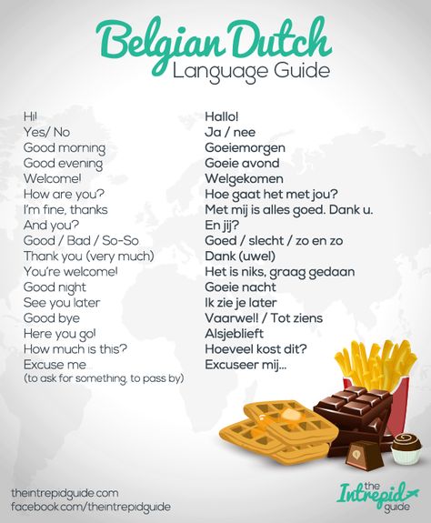 Flemish Dutch Language Guide. Click for more phrases and history.                                                                                                                                                     More Flemish Language, Dutch Grammar Rules, Dutch Language Learning Netherlands, Dutch Language Funny, Dutch Phrases, Netherlands Language, Travel Language, Dutch Words, Native Speaker