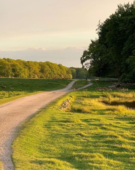 Rural Living, Countryside House, Gloomy Day, Back Road, Garden Landscape Design, Spring Aesthetic, Environment Design, Beautiful Places To Travel, Go Outside