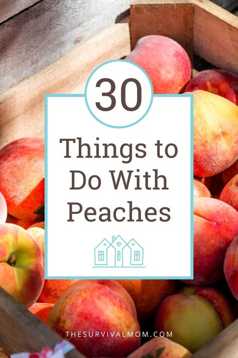 30 Things to do With Peaches via The Survival Mom -- When the peach season is at its height, we peach lovers want to know, what are some different things to do with peaches, past peach pie, and peach preserves! #peaches #peachpreserves #canning #foodstorage #peachrecipes #peach #TheSurvivalMomBlog Brown Sugar Peaches, Fresh Peach Recipes, Peach Muffins, Peach Dessert Recipes, Peach Preserves, Peach Desserts, Peach Jam, Floral Comforter, Fresh Peaches