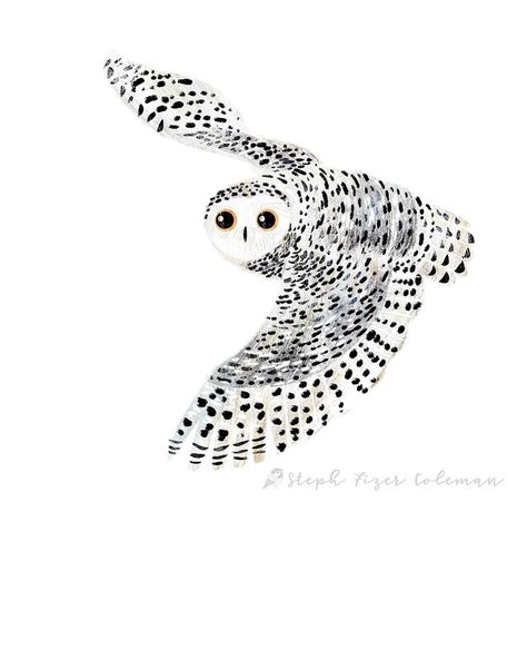 Creative Burnout, Snowy Owl Art, Illustration Photoshop, Winter Owl, Owl Illustration, Owl Patterns, Wildlife Artists, Snowy Owl, Owl Art