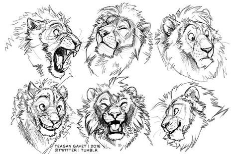 Teagan Gavit lion expression animal Lion Sketch, Cat Drawing Tutorial, Lion Drawing, Big Cats Art, Drawing Cartoon Characters, Lion Art, Wow Art, Poses References, Animal Sketches