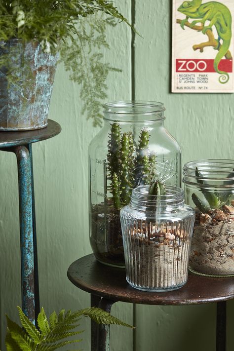 8 Rustic Ways to Decorate Your Home with Nature Big Jar Ideas, Big Glass Jar, Home With Nature, Terrarium Design, Big Jars, Decorative Glass Jars, Beautiful Terrariums, Unusual Home, Jar Decor