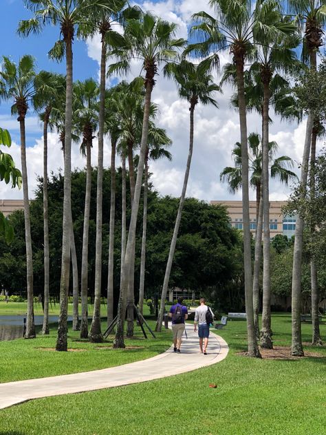 Nova Southeastern University, University Aesthetic, Southeastern University, Florida International University, College Aesthetic, Dream College, Dream School, 2024 Vision, College Life