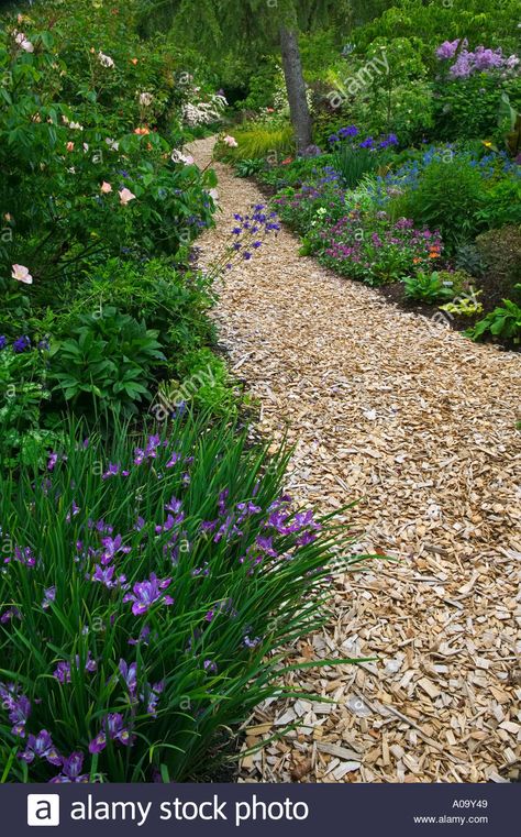 Download this stock image: Wood chip path at Northwest Garden Nursery Eugene Oregon - A09Y49 from Alamy's library of millions of high resolution stock photos, illustrations and vectors. Wood Chip Garden Path, Cedar Wood Chips Landscaping, Wood Chip Walkway, Bark Pathway Garden Paths, Woodchips Garden Landscaping, Wood Chip Pathway, Wood Chip Patio, Mulch Garden Path, Woodchip Pathways