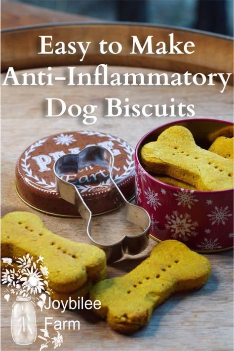 Anti-Inflammatory Dog Biscuits that are Quick and Easy | Doggy Cake, Dog Biscuit Recipe, Healthy Dog Biscuits, Homemade Dog Biscuits, Pet Treats Recipes, Easy Dog Treat Recipes, Dog Treats Grain Free, Dog Biscuit, Dog Biscuits Homemade