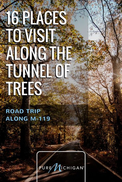 Tunnel Of Trees Michigan, Tunnel Of Trees, Michigan Adventures, Michigan Road Trip, Michigan Vacations, Michigan Beaches, Scenic Road Trip, Scenic Roads, Michigan Travel