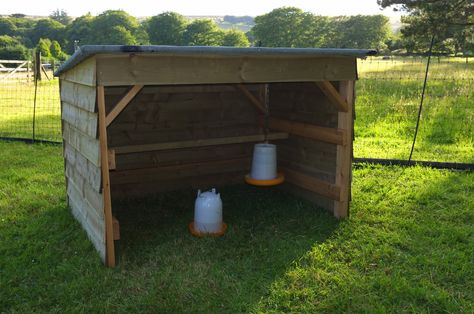 Chicken shelter Diy Shade For Chickens, Chicken Rain Shelter, Diy Chicken Shelter, Chicken Shelter From Rain, Chicken Shelter Ideas, Deer Shelter, Hobbie Farm, Sheep Shelter, Chicken Shelter