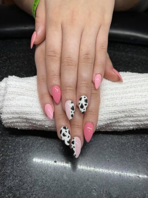 Rodeo Nails Westerns Almond, Coral Cow Print Nails, Colourful Cow Print Nails, Country Nails Design Pink, Pink Cow French Tip Nails, Brown And Pink Cow Print Nails, Maroon Cow Print Nails, Nails Inspiration Cow Print, Cow Print Nails Oval