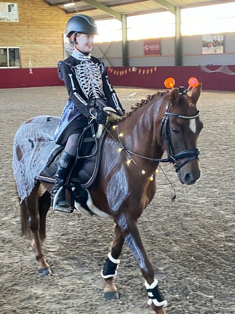 Halloween Costume For Horse, Costume Ideas For Horse And Rider, Equestrian Halloween Costumes, Horse Halloween Costumes Equestrian, Halloween Horse Costumes, Pony Halloween Costume, Horse Halloween Costumes, Halloween Horse, Horse Costumes