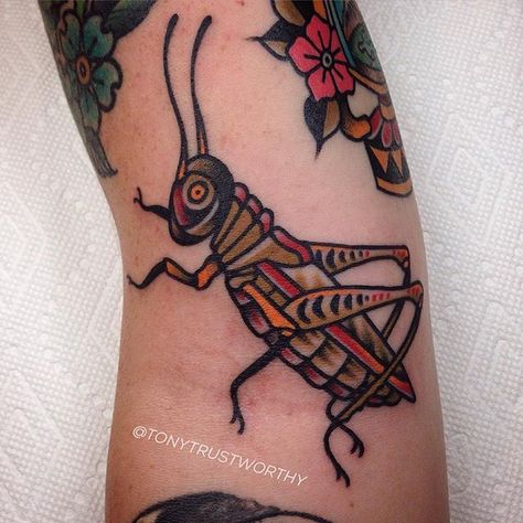 American Traditional Tattoos Insects, Ant Tattoo Traditional, American Traditional Insects, American Traditional Insect Tattoo, Trad Bug Tattoo, American Traditional Bug Tattoo, American Traditional Beetle, Traditional Beetle Tattoo, Traditional Insect Tattoo