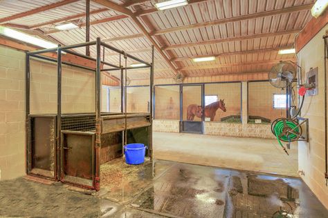 Horse Breeding Facility, Equine Vet Clinic, Horse Ranch Ideas, Bison Ranch, Horse Farm Layout, Event Venue Ideas, Equine Facility, Horse Pens, Barn Office