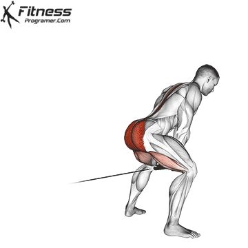 Erector Spinae Exercises, Cable Pull Through, Erector Spinae, Dumbbell Back Workout, Free Workout Plans, Hip Exercises, Gym Workout Guide, Cable Workout, Workout Planner