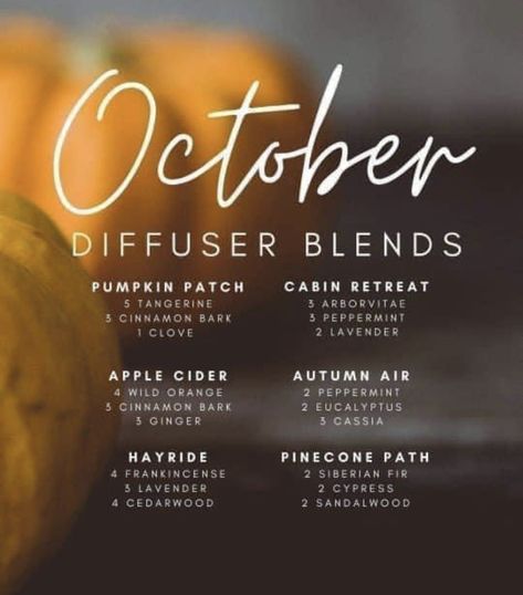 Scentsy Name Ideas, Fall Essential Oils, Fall Diffuser Blends, Essential Oil Combinations, Doterra Essential Oils Recipes, Essential Oil Diffuser Blends Recipes, Young Living Essential Oils Recipes, Essential Oils Herbs, Essential Oil Diffuser Recipes