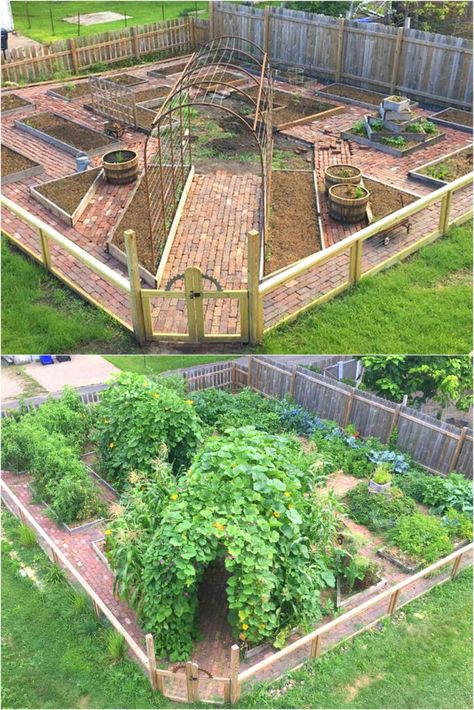 Garden Ideas For Small Yards, Vegetable Garden Design Ideas, Garden Bed Layout, Edible Landscape, Outdoor Trellis, Vegetable Garden Planning, Backyard Vegetable Gardens, Edible Landscaping, Garden Design Ideas