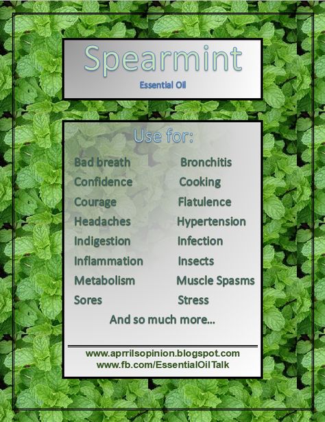 Spearmint Essential Oil Spearmint Tea Benefits, Oils For Headaches, Headache Relief Essential Oils, For Headaches, Essential Oils For Pain, Essential Oils For Headaches, Essential Oil Carrier Oils, Spearmint Essential Oil, Essential Oils Health