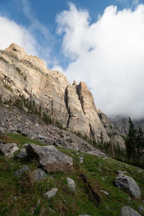 The Ultimate Guide to Visiting Rocky Mountain National Park Colorado Trip, Organic Sculpture, Rocky River, Mountain Landscapes, Paradise Lost, Colorado Vacation, Grand Lake, Emerald Lake, Forest Mountain