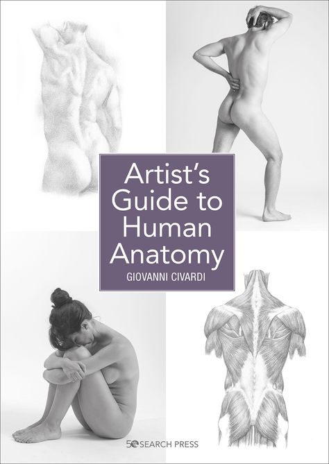 Anatomical Drawings, The Human Anatomy, Human Anatomy For Artists, Human Anatomy Drawing, Human Figure Drawing, Woodworking Books, Human Anatomy Art, Anatomy For Artists, Human Form