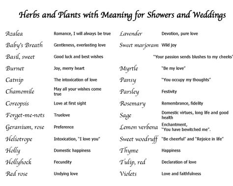 meaning of herbs Herbs For Wedding, Herb Meanings, Herb Wedding, Wedding Broom, Modern Day Witch, Flower Language, Wedding G, Blush On Cheeks, Grow Plants