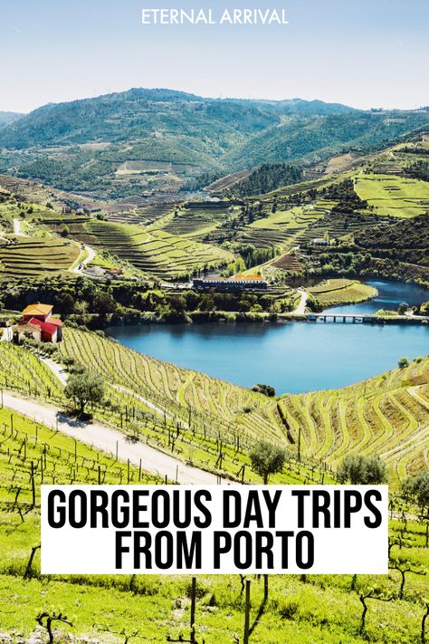 Planning to visit Porto, Portugal? This Porto travel guide includes all the best day trips for Porto that you should add to your list of things to do in Porto. From tasting port in the Douro Valley to castles to Fatima to smaller towns in Northern Portugal, this guide to Porto day trips will help you plan the perfect Porto vacation! Grape Stomping, Day Trips From Porto, Douro Valley Portugal, Portugal Travel Guide, Grape Harvesting, Wine Pairings, Douro Valley, Visit Portugal, Port Wine