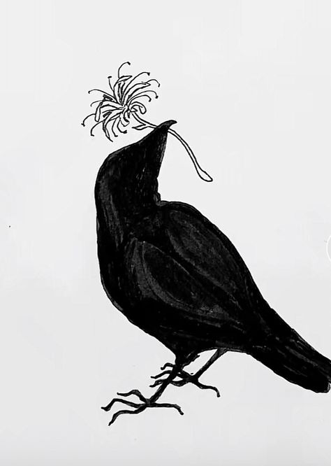 Black Crow Tattoos, Simple Cat Tattoo, Line Art Simple, Crows Drawing, Tato Flash, Crow Tattoo Design, Tattooed Lady, Cat Tattoo Ideas, Sticker Inspiration