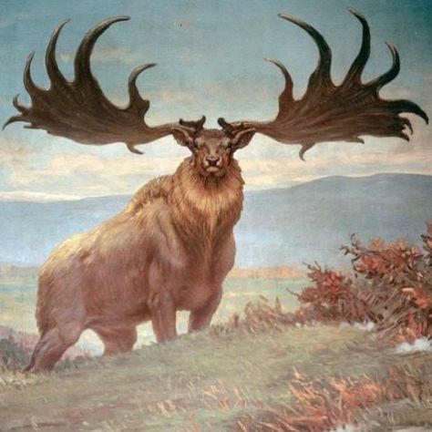 Deer Knight, Megaloceros Giganteus, Irish Elk, Deer Species, Prehistoric Wildlife, Eagle Pictures, Ancient Animals, Paleo Art, Extinct Animals