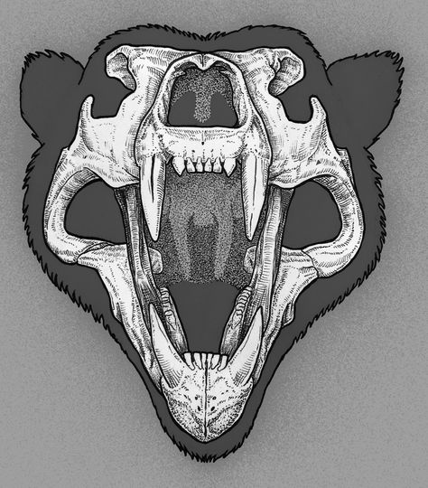 Bear Jaws Tattoo, Bear Mouth Tattoo, Moose Skull Tattoo Design, Bear Skull Reference, Half Bear Half Skull, Bear Skull Drawing, Grizzly Bear Skull, Bear Skull Tattoo, Polar Bear Skull