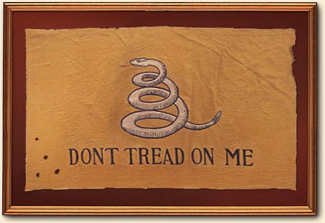 Gadsden Flag Colonial Flag, Us Flags, Historical Flags, Gadsden Flag, Military Flag, American Colonies, United States History, Alternate History, Early American