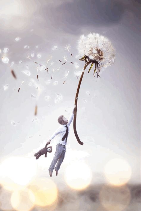 Levitation Photography, Surreal Portrait, A Dandelion, Surreal Photos, Surrealism Photography, Composition Photography, Conceptual Photography, Creative Portraits, Creative Photos