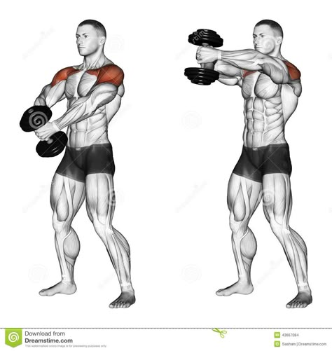 Photo about Ups of hands forward with one dumbbell. Exercising for bodybuilding. Target muscles are marked in red. Initial and final steps. Illustration of forward, marked, clavicular - 43667084 Shoulder Training, Gym Antrenmanları, Dumbell Workout, Weight Training Workouts, Workout Chart, Chest Workouts, Trening Abs, Dumbbell Workout, Gym Workout Tips